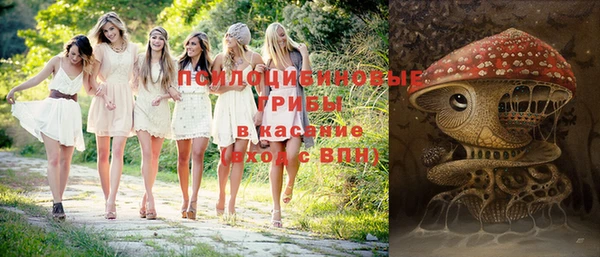 экстази Вяземский