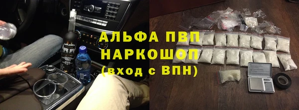 сатива Володарск