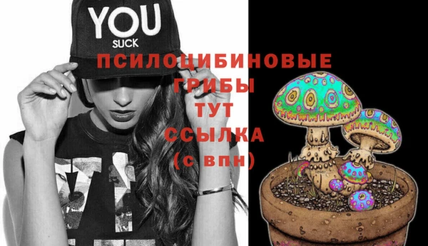 ALPHA PVP Гусиноозёрск