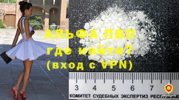 СК Протвино