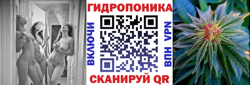 хочу наркоту  Елабуга  Шишки марихуана SATIVA & INDICA 